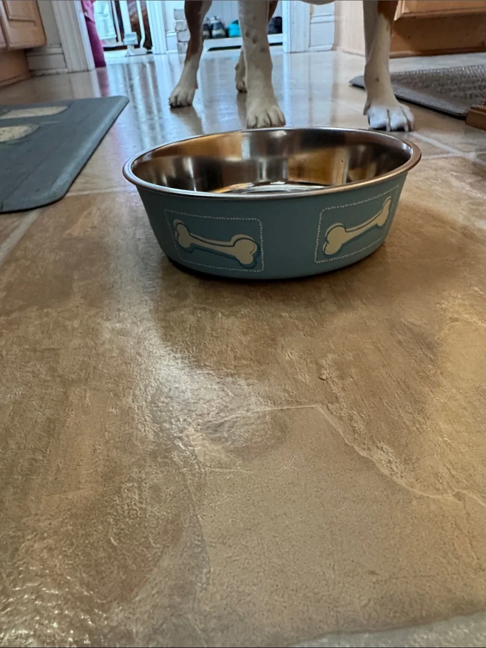 Blue Dog Bowl with Bone Motif and floor gripper ring